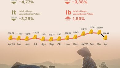 NTP Kalsel Sebesar 114,94 pada April 2025